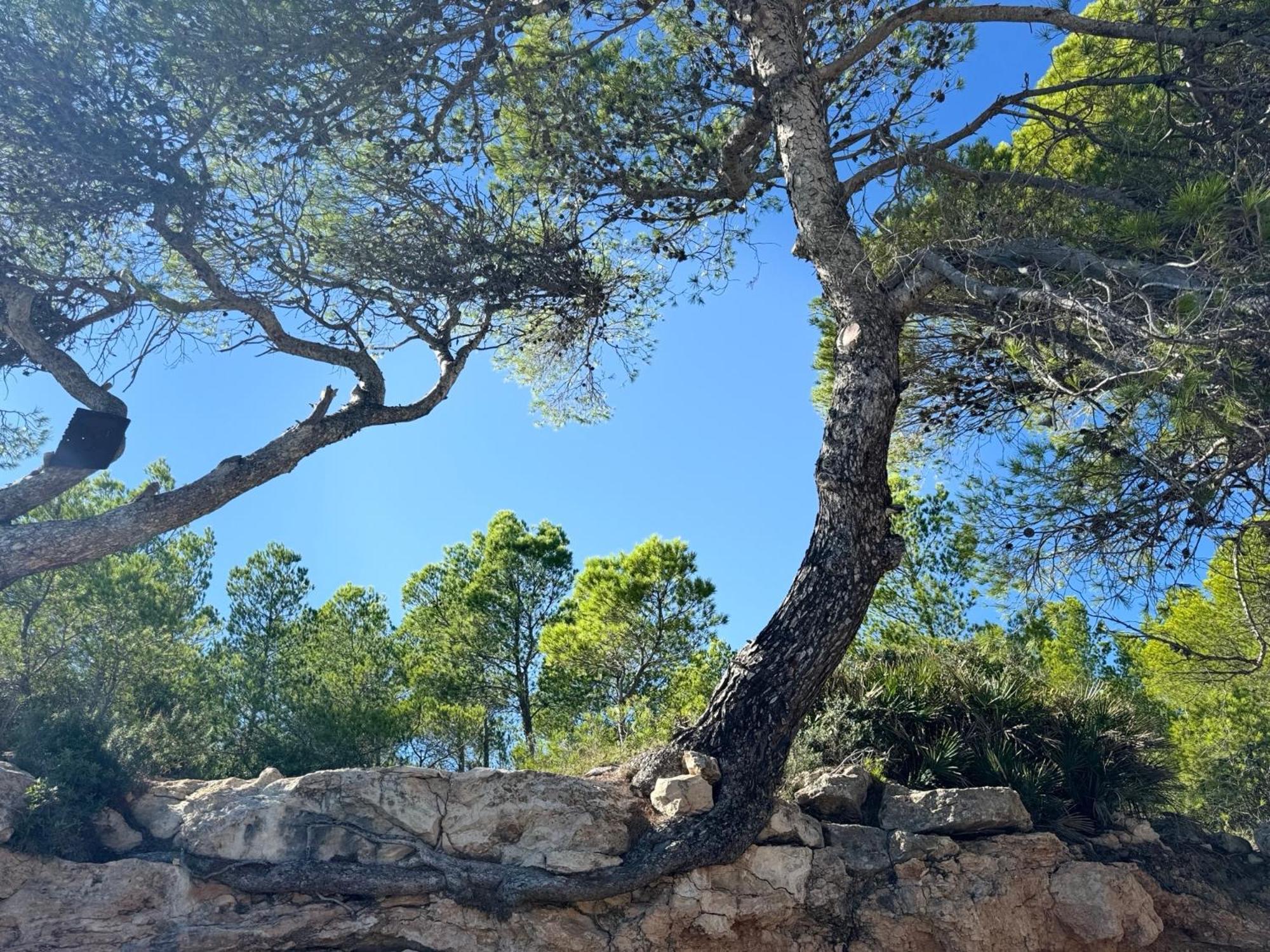 Cassa Jessi Villa Tarragona Eksteriør bilde
