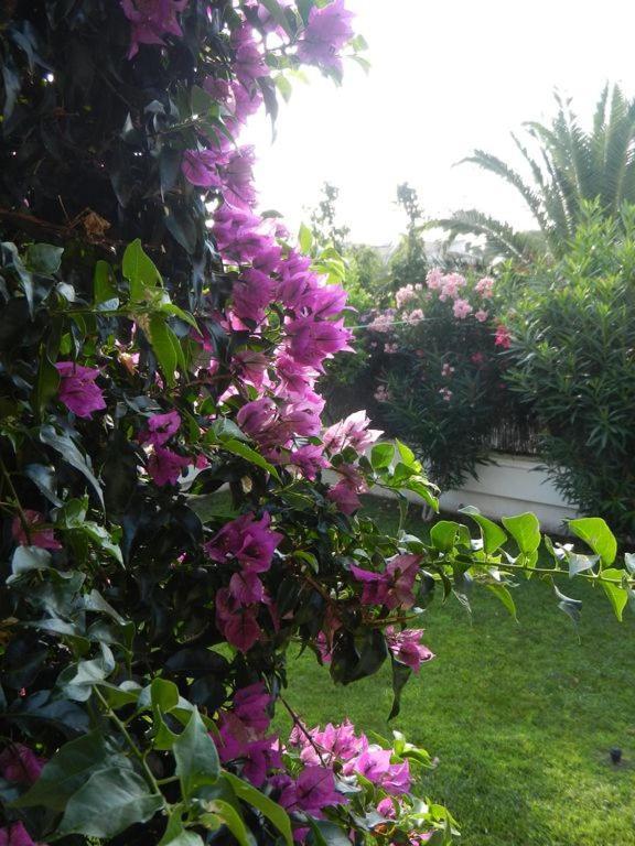Cassa Jessi Villa Tarragona Eksteriør bilde